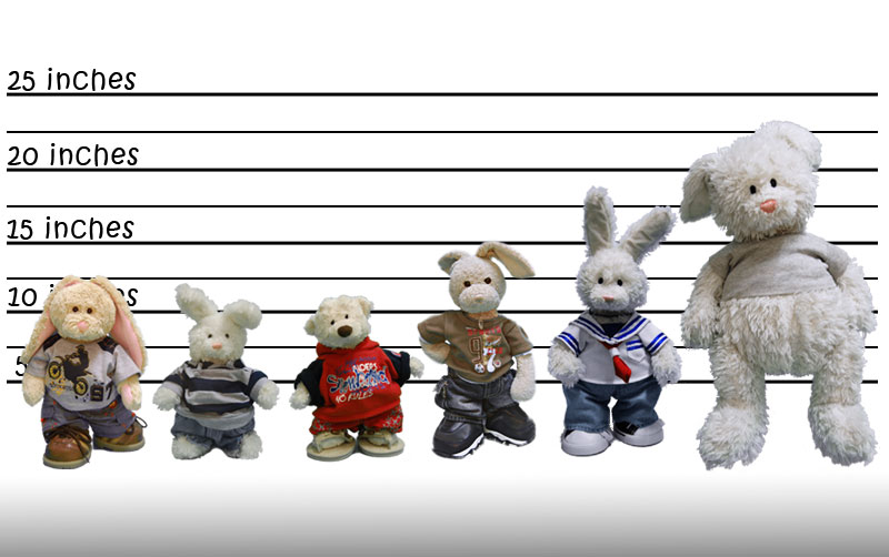 lineup.jpg