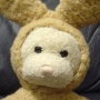 pic118_small.jpg