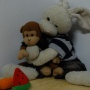 pic175_small.jpg