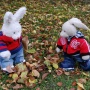 pic259_small.jpg