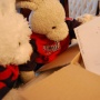 pic292_small.jpg