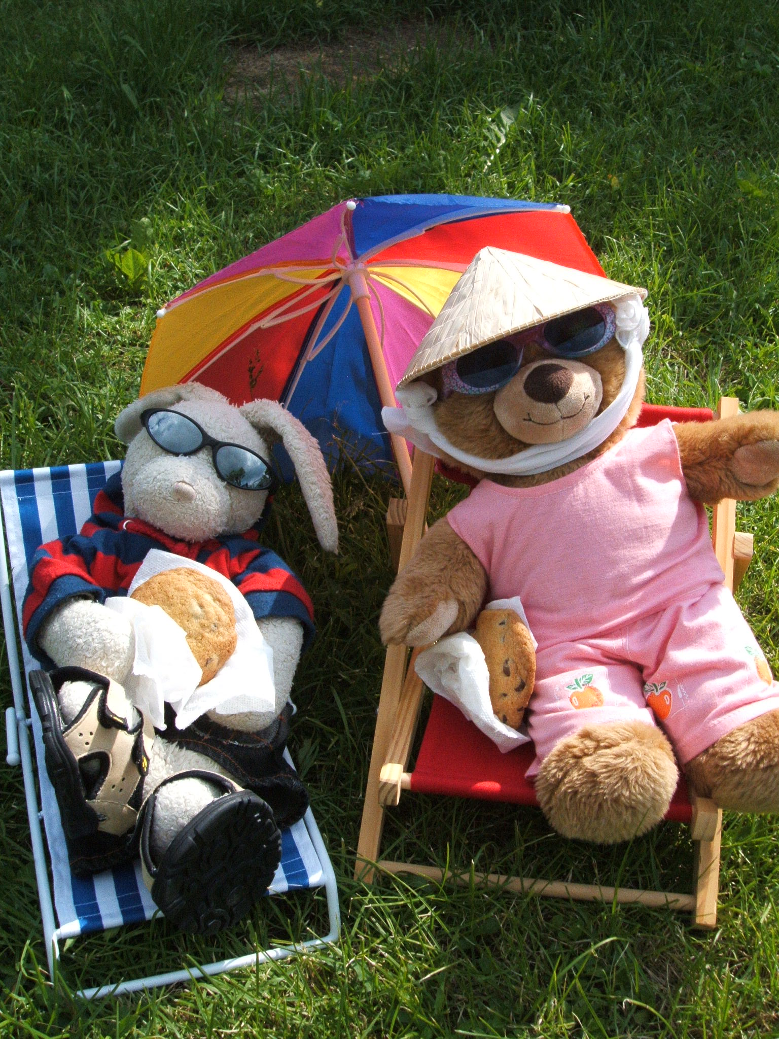 Chocolate Chip Cookies Show Picture