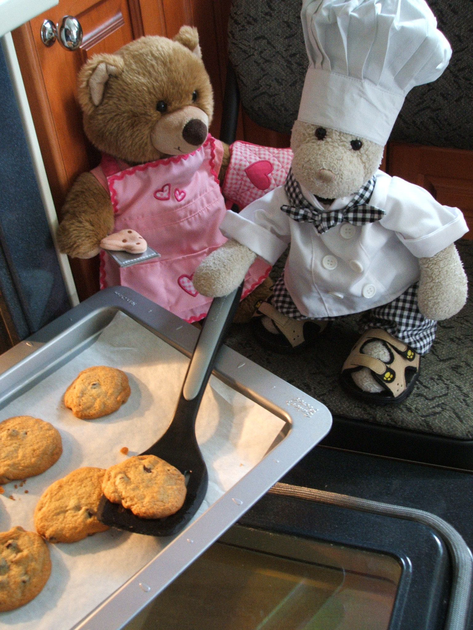 Chocolate Chip Cookies Show Picture