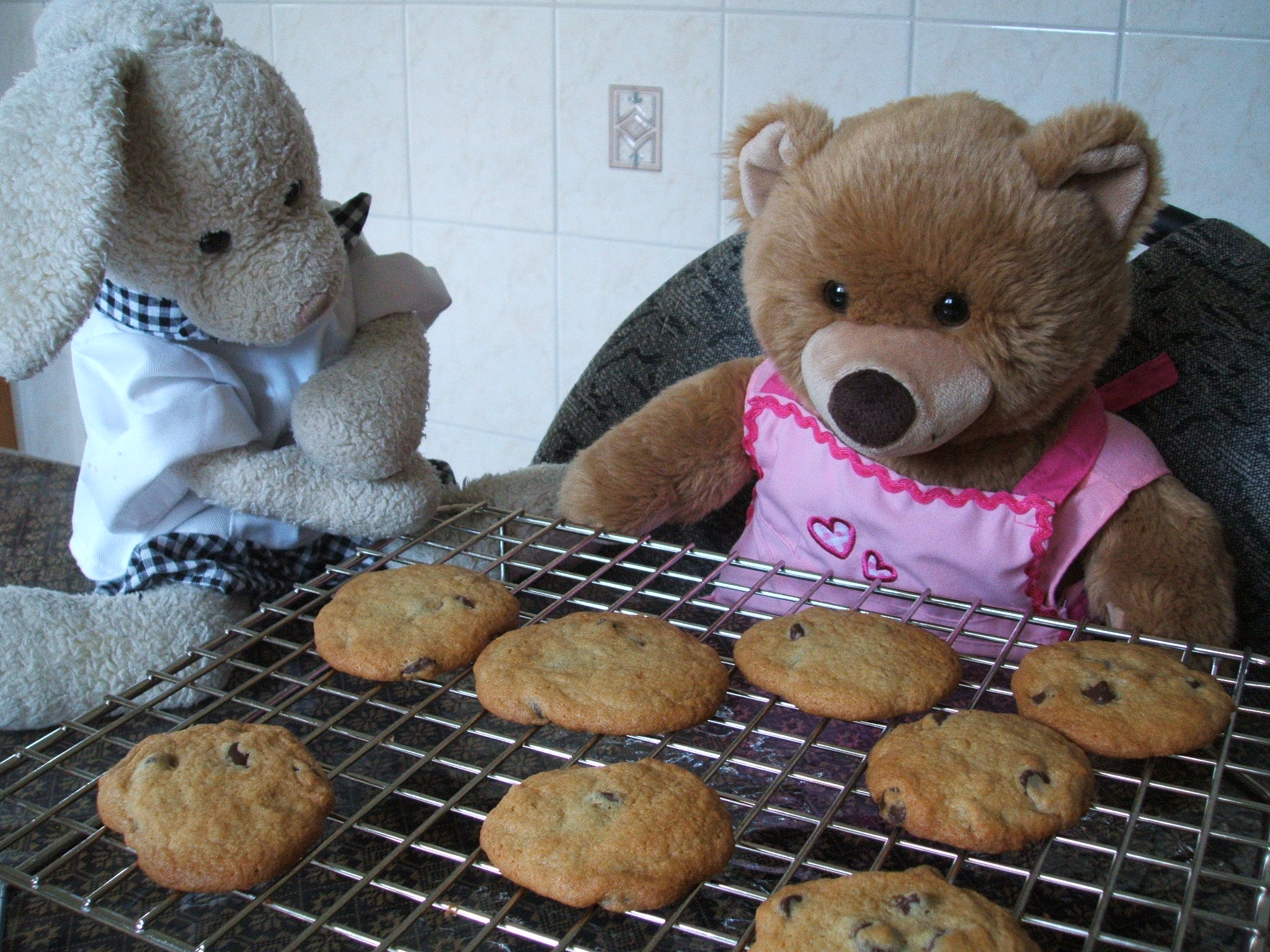 Chocolate Chip Cookies Show Picture