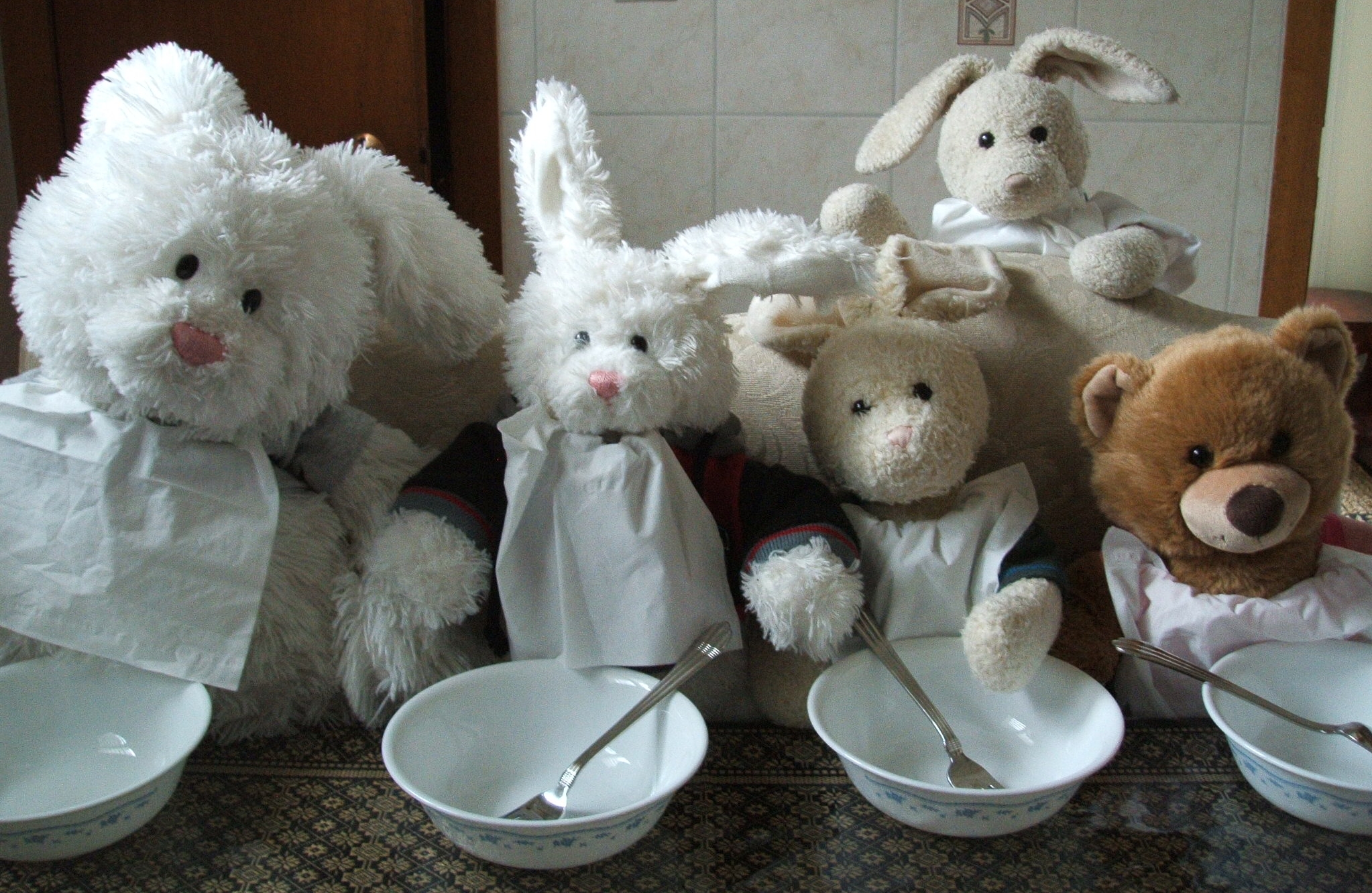 Spaghetti Show Picture