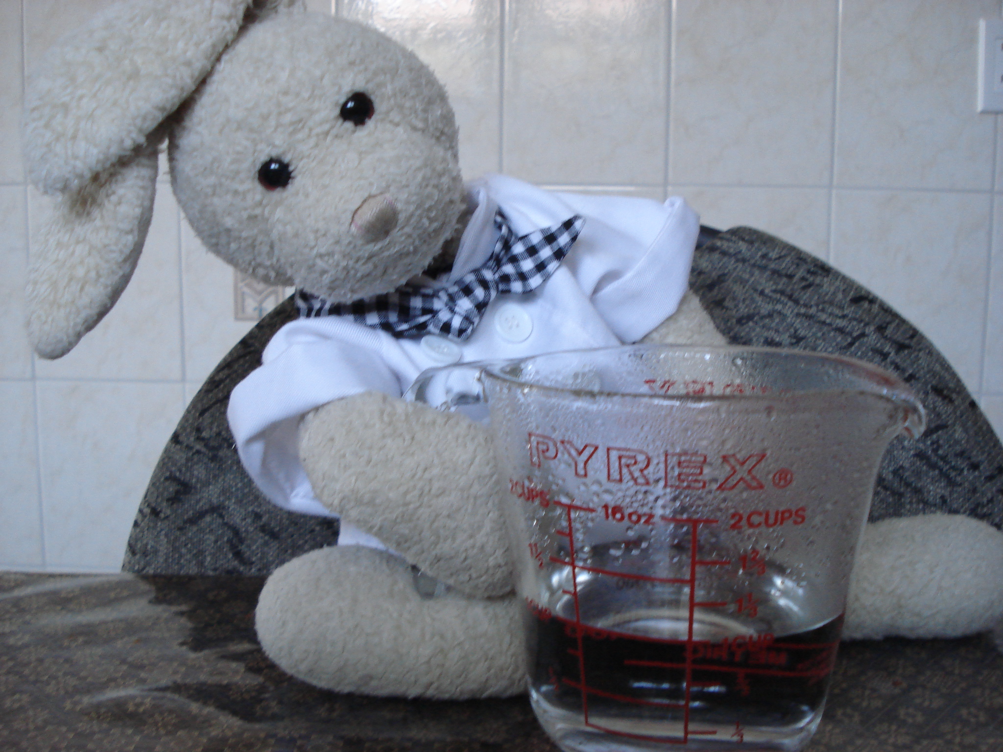 Chocolate Cupcakes Show Picture