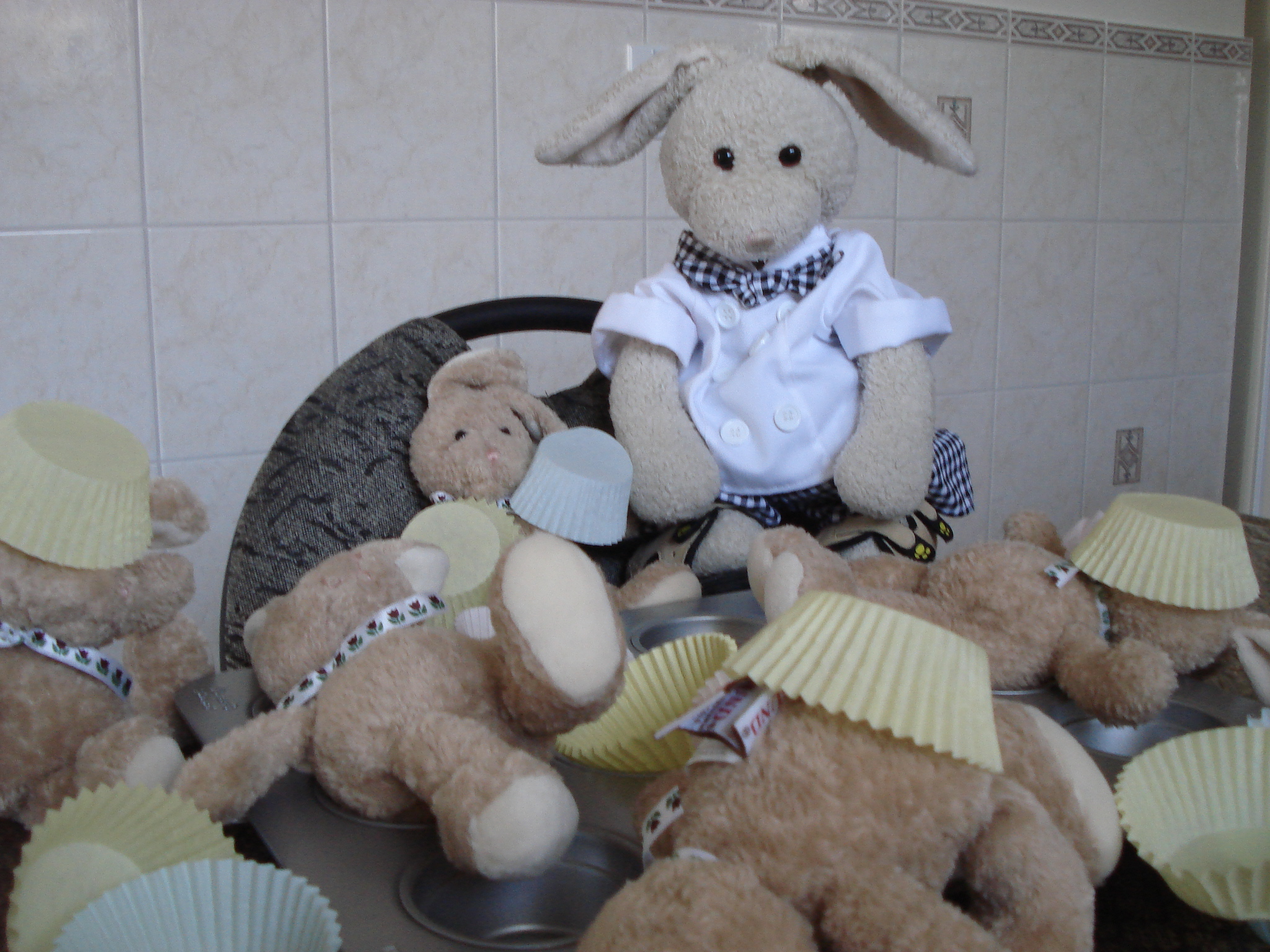 Chocolate Cupcakes Show Picture