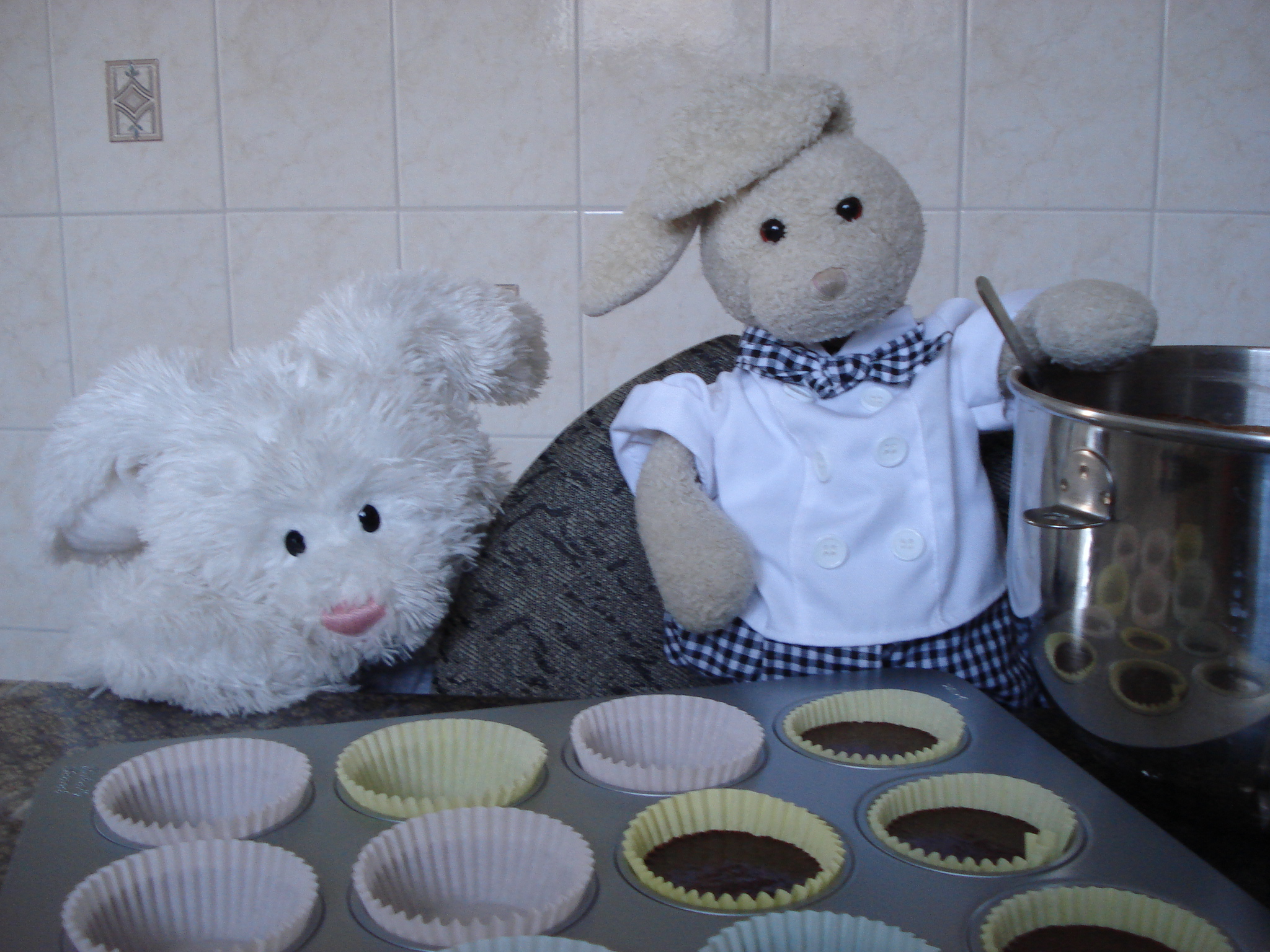 Chocolate Cupcakes Show Picture
