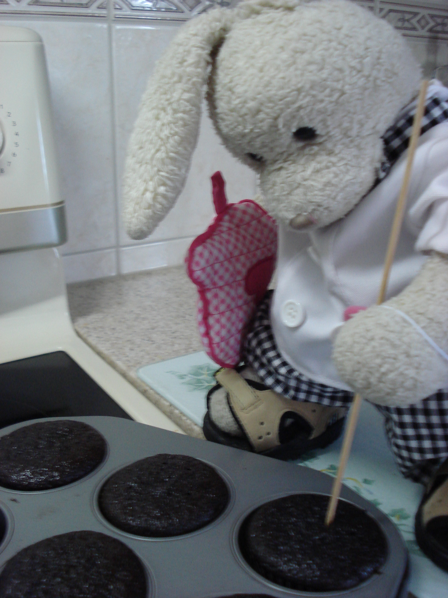 Chocolate Cupcakes Show Picture