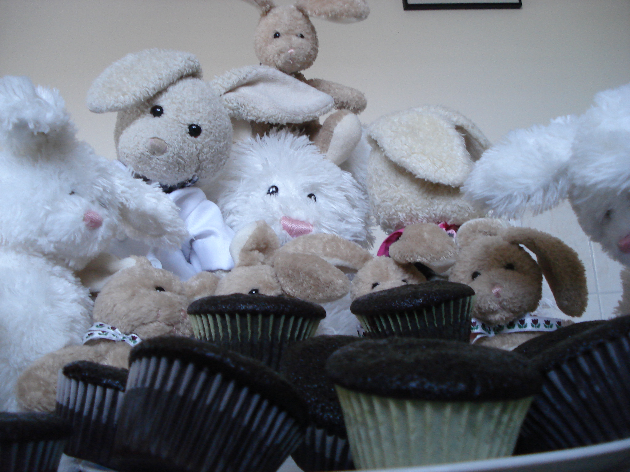 Chocolate Cupcakes Show Picture