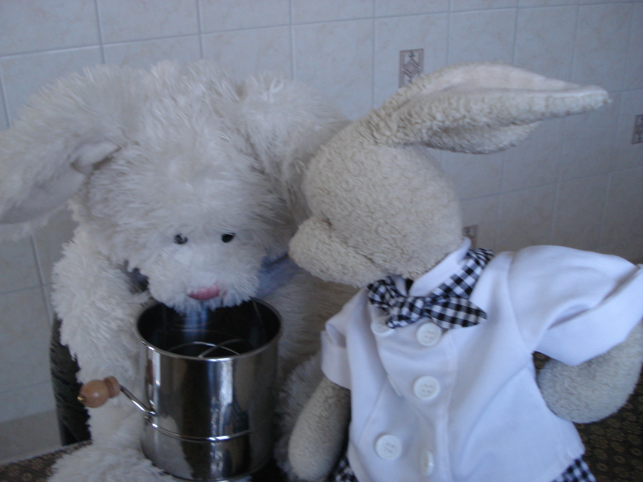 Chocolate Cupcakes Show Picture