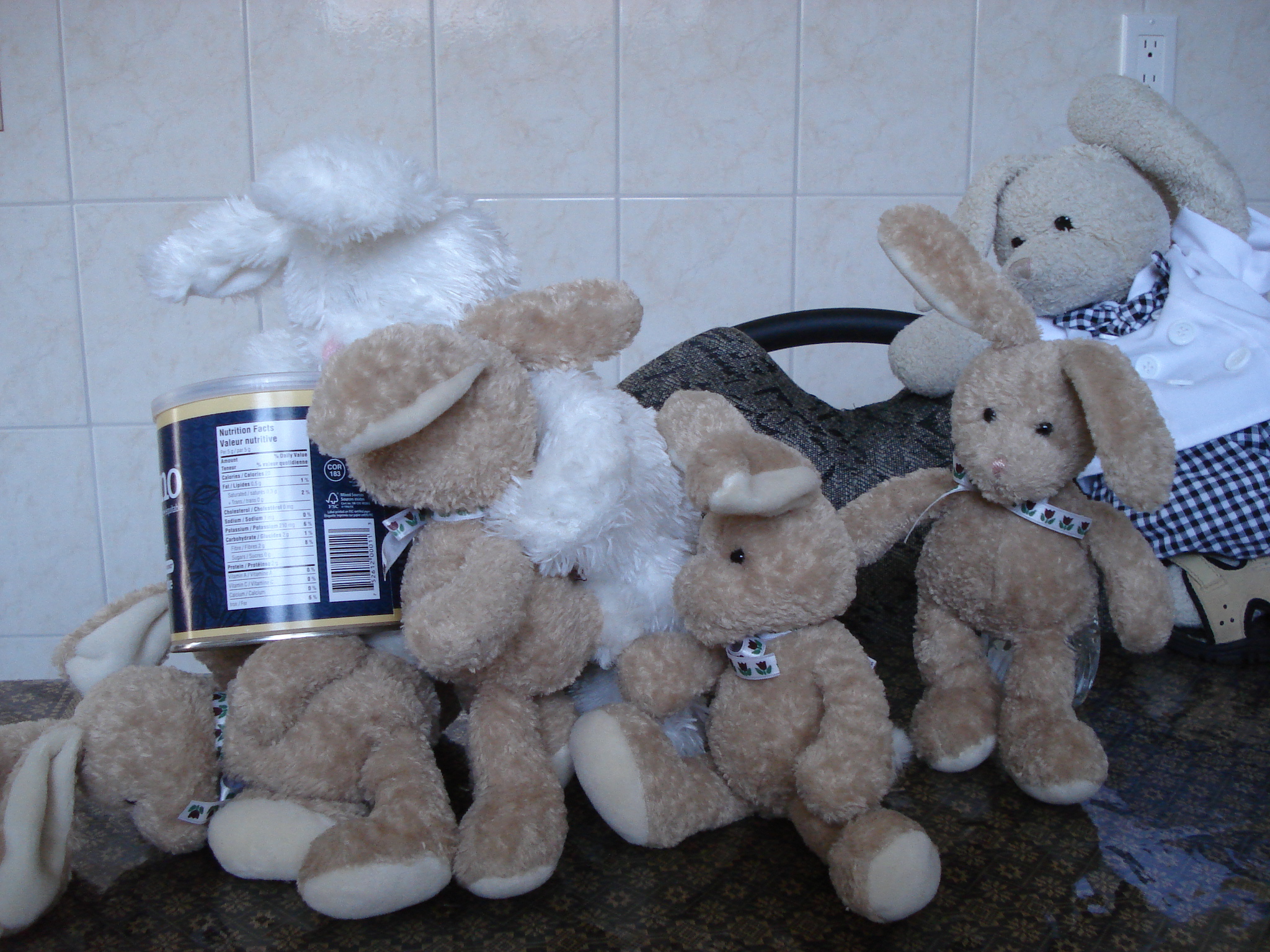 Chocolate Cupcakes Show Picture