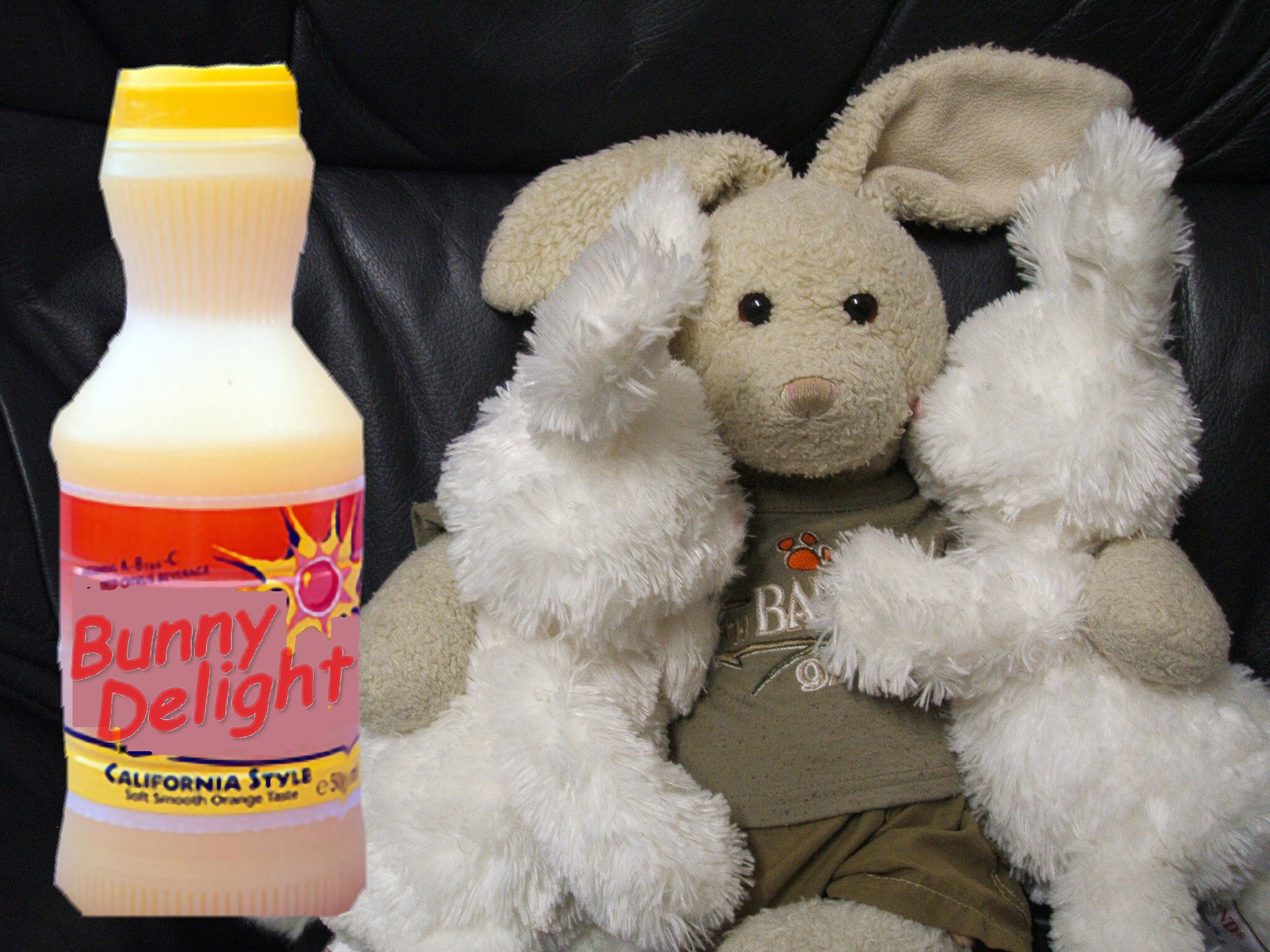 Herb Bread Show Picture