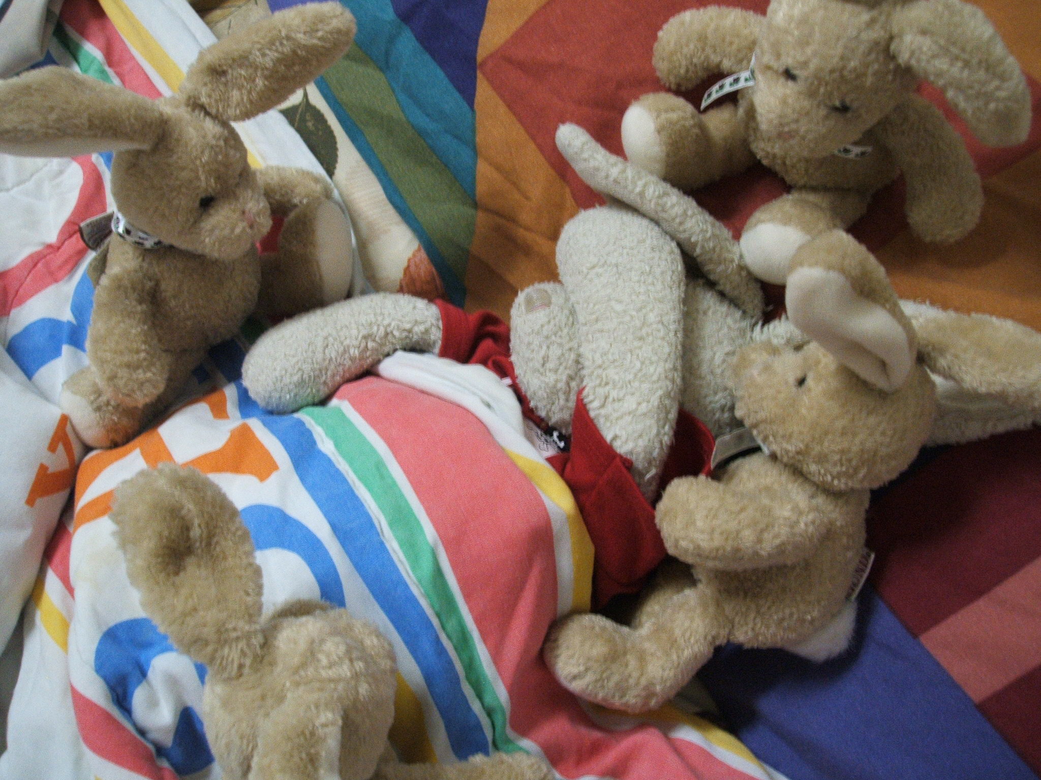 Pancakes Show Picture