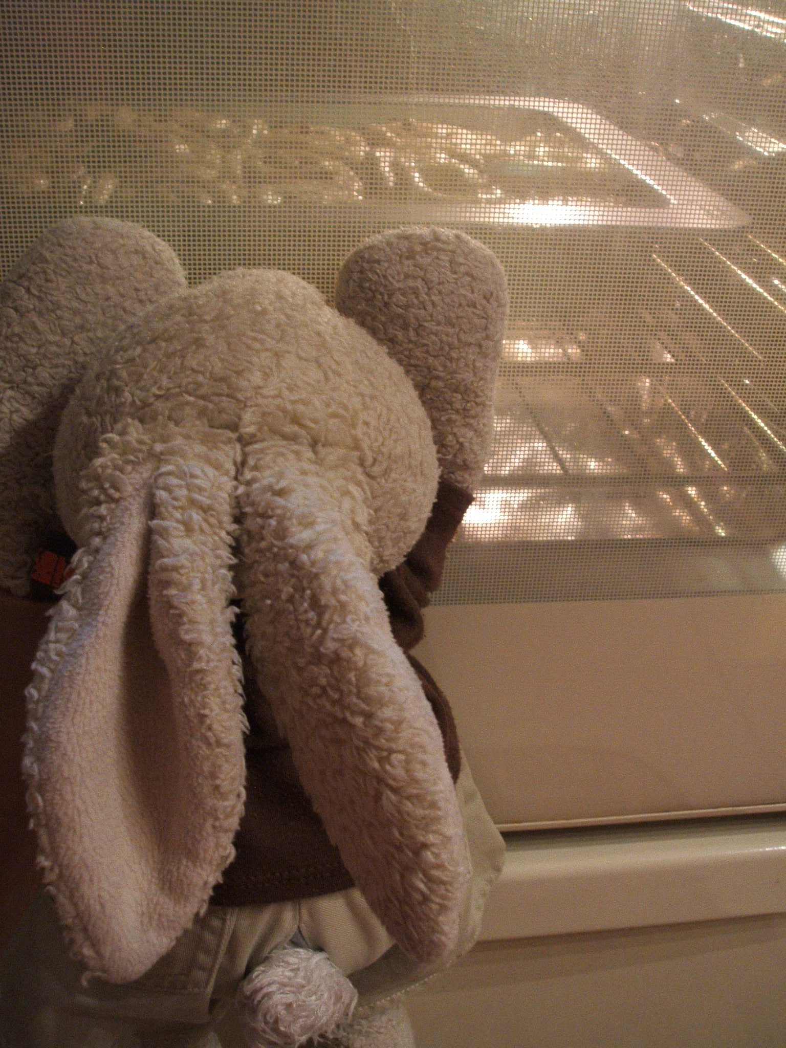 Cinnamon Buns Show Picture