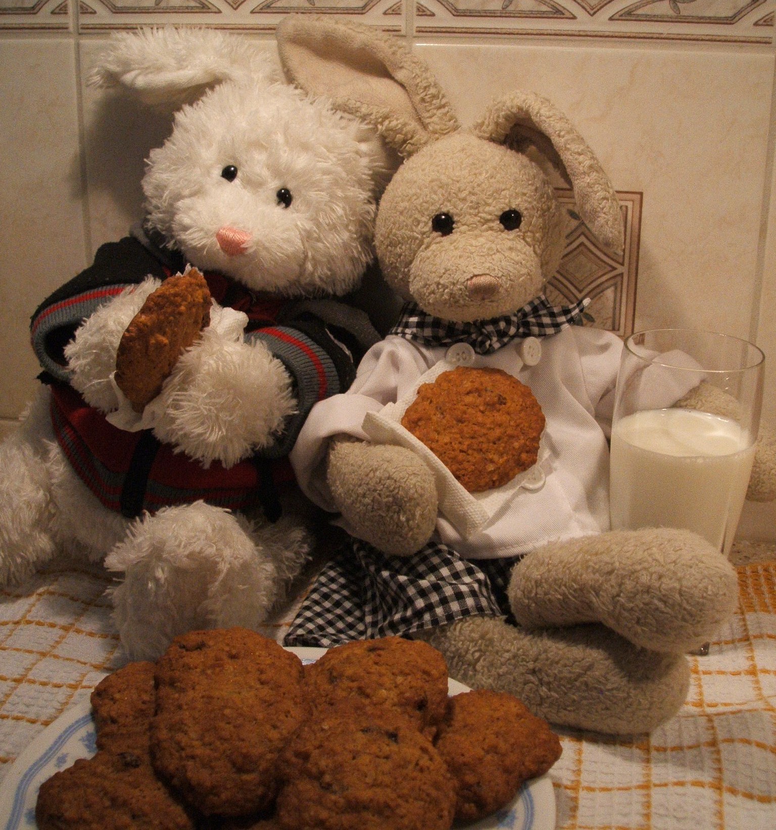 Cranberry Oatmeal Cookies Show Picture