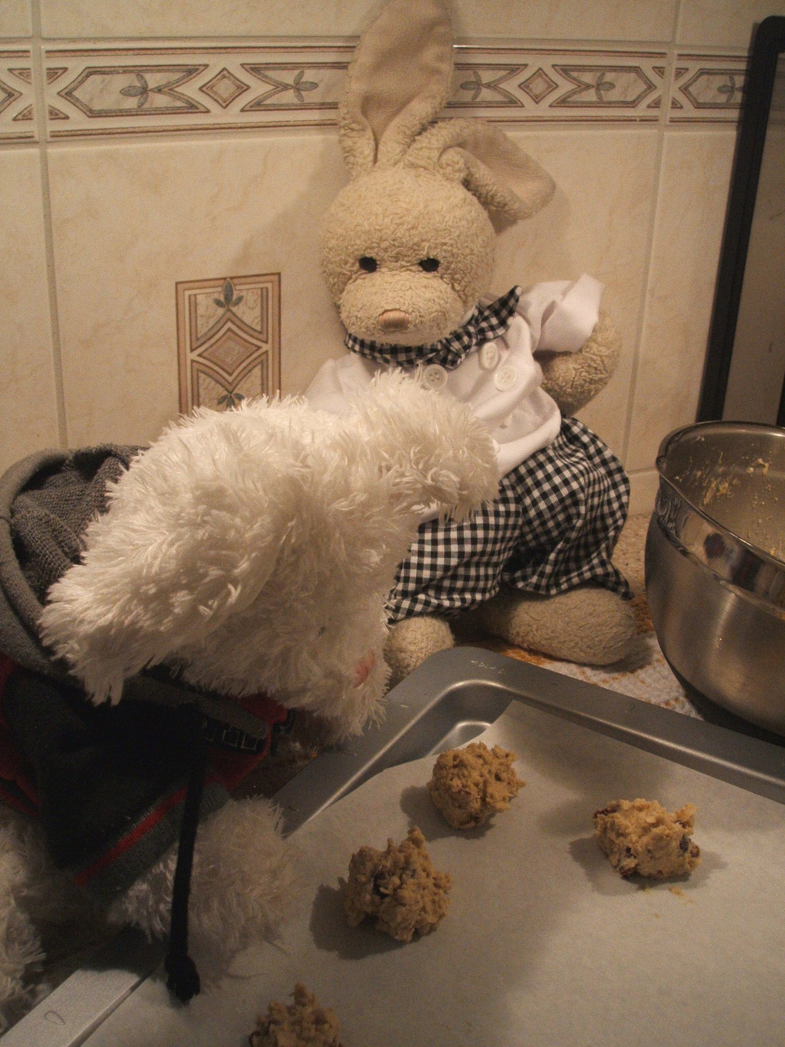 Cranberry Oatmeal Cookies Show Picture