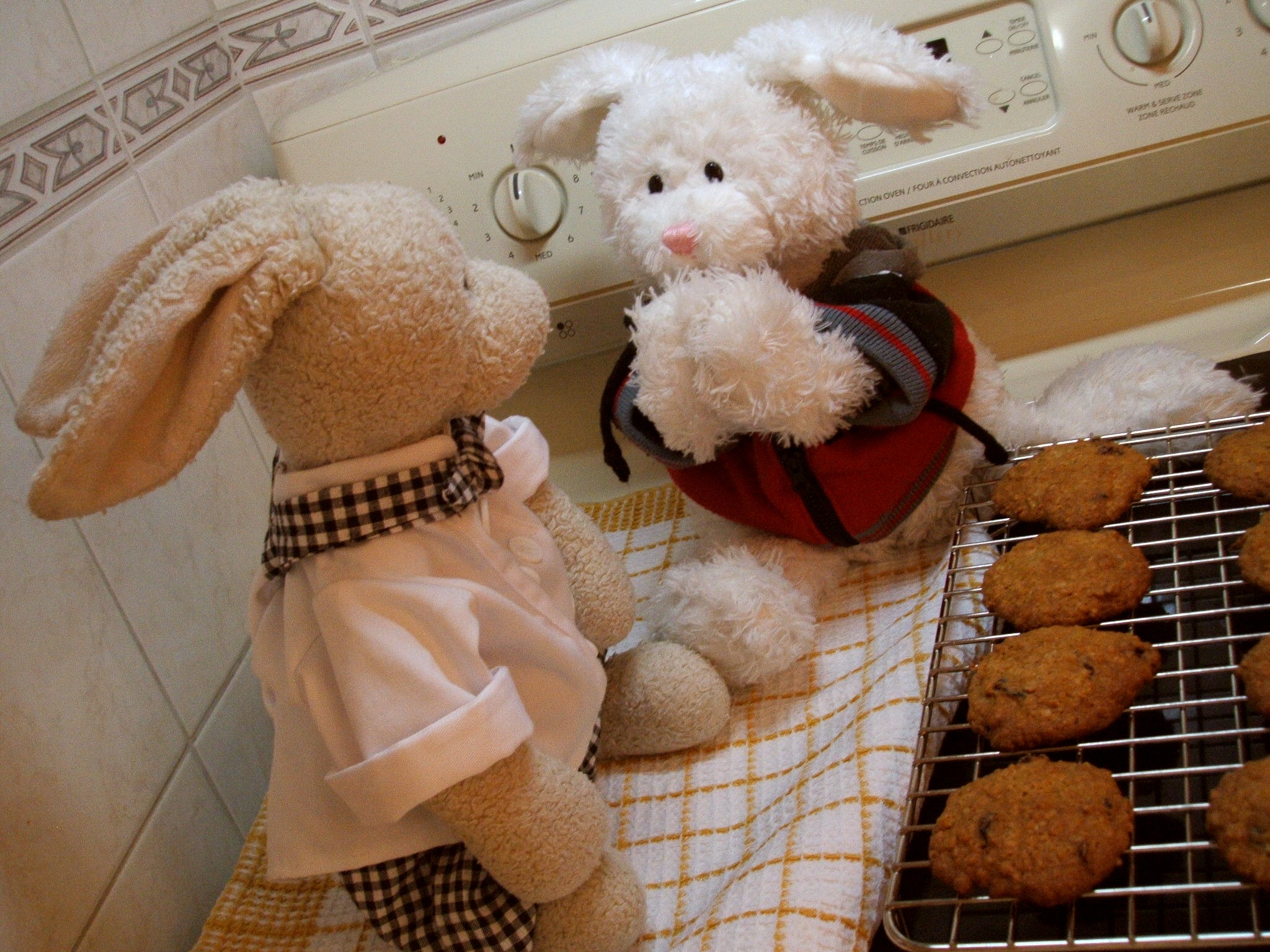 Cranberry Oatmeal Cookies Show Picture