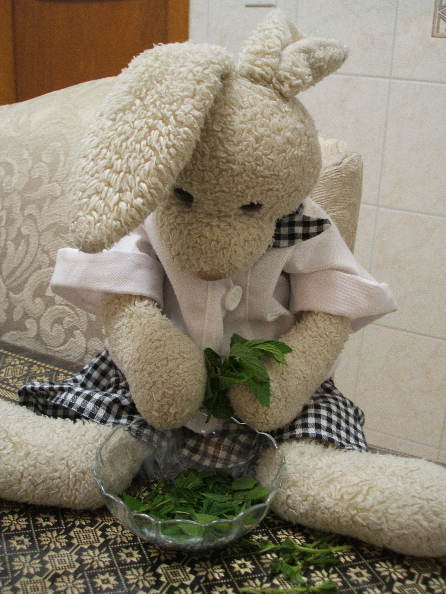 Summer Salad Show Picture