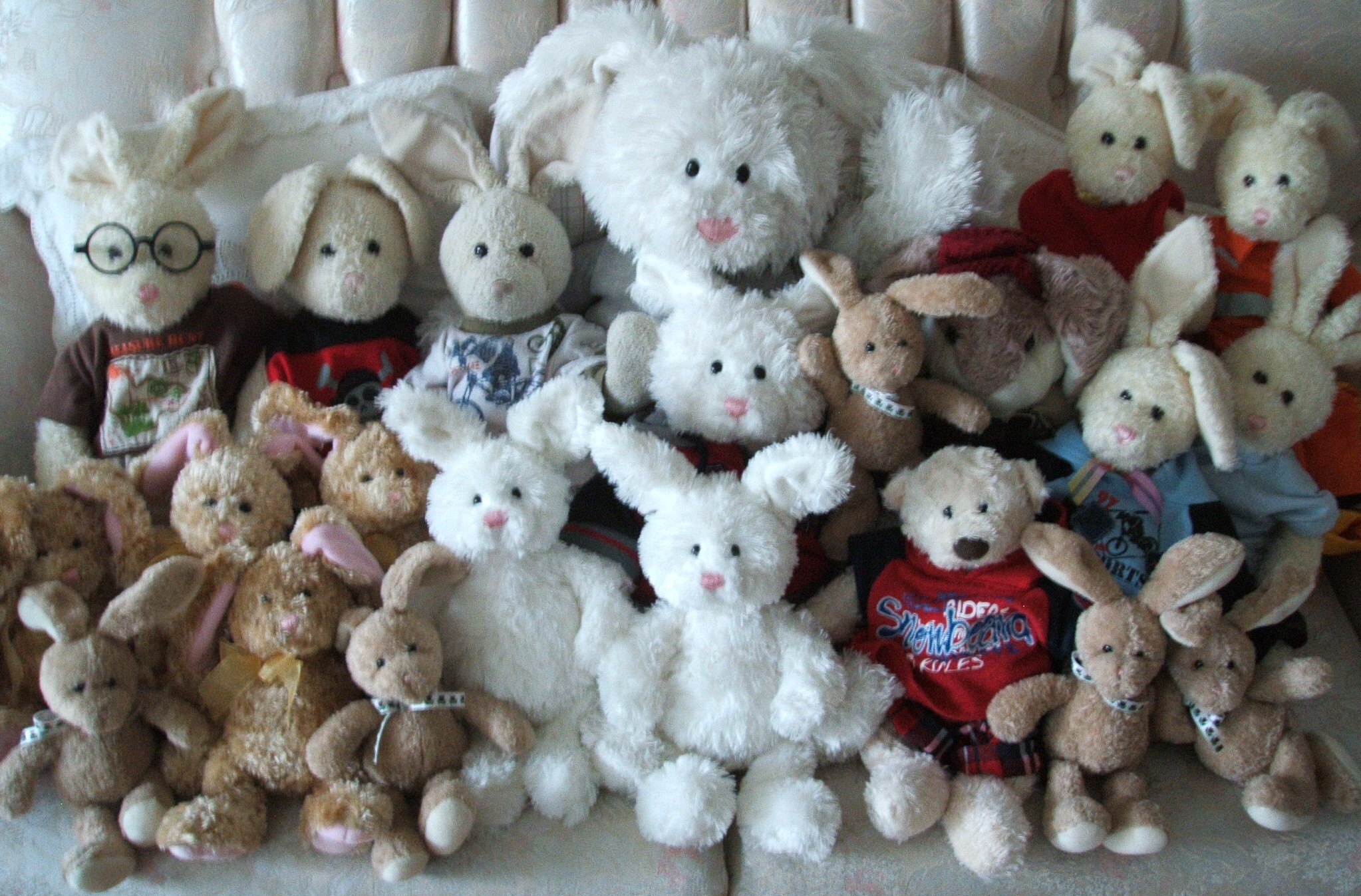 Summer Salad Show Picture