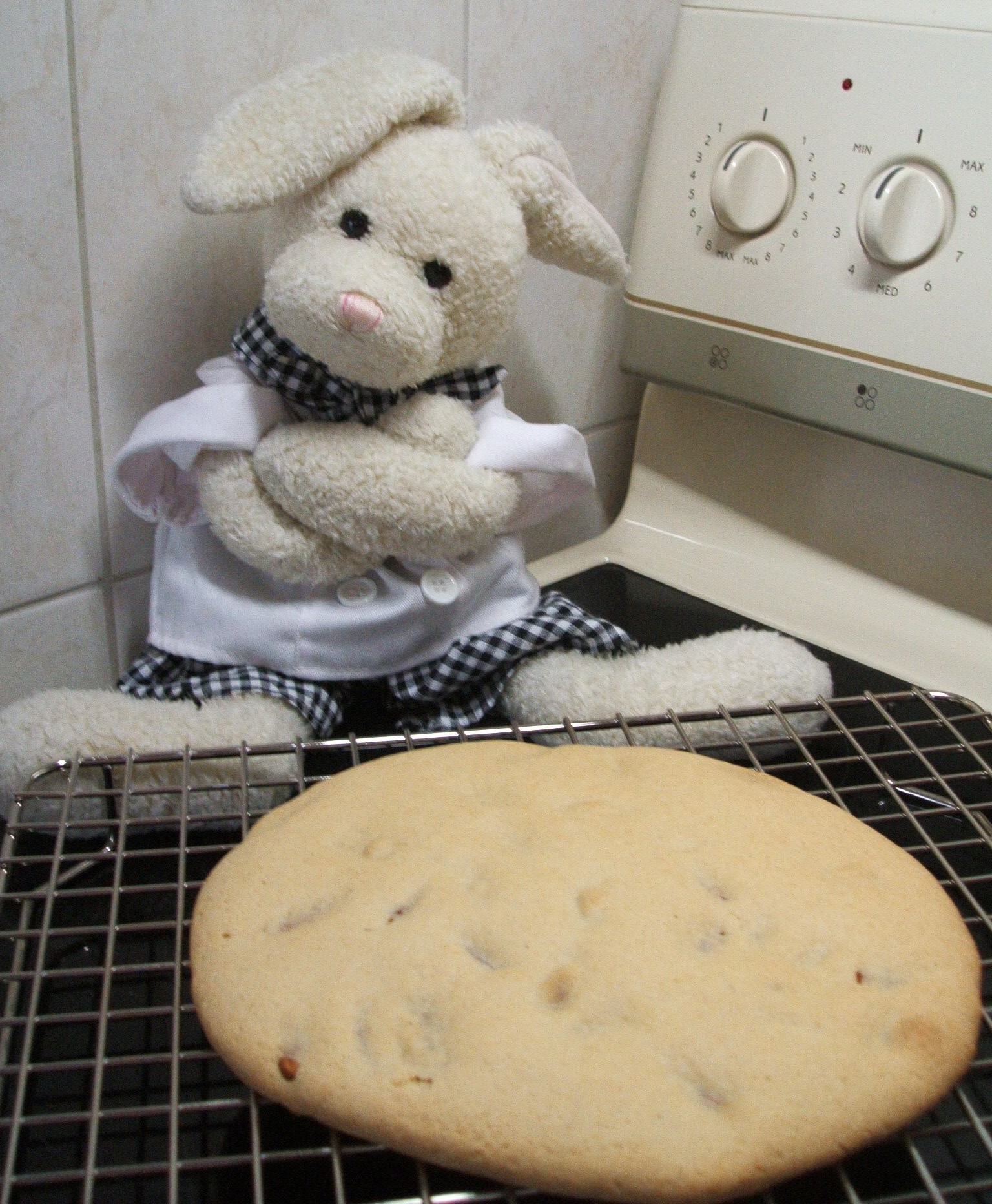 Almond Biscotti Show Picture