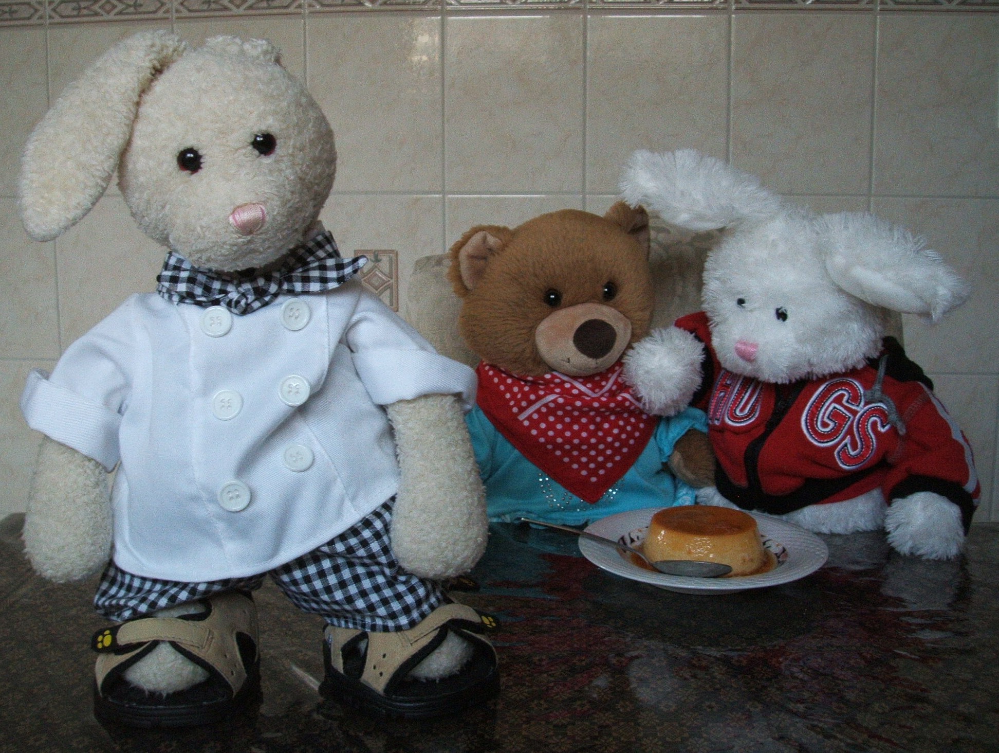 Flan Pudding Show Picture