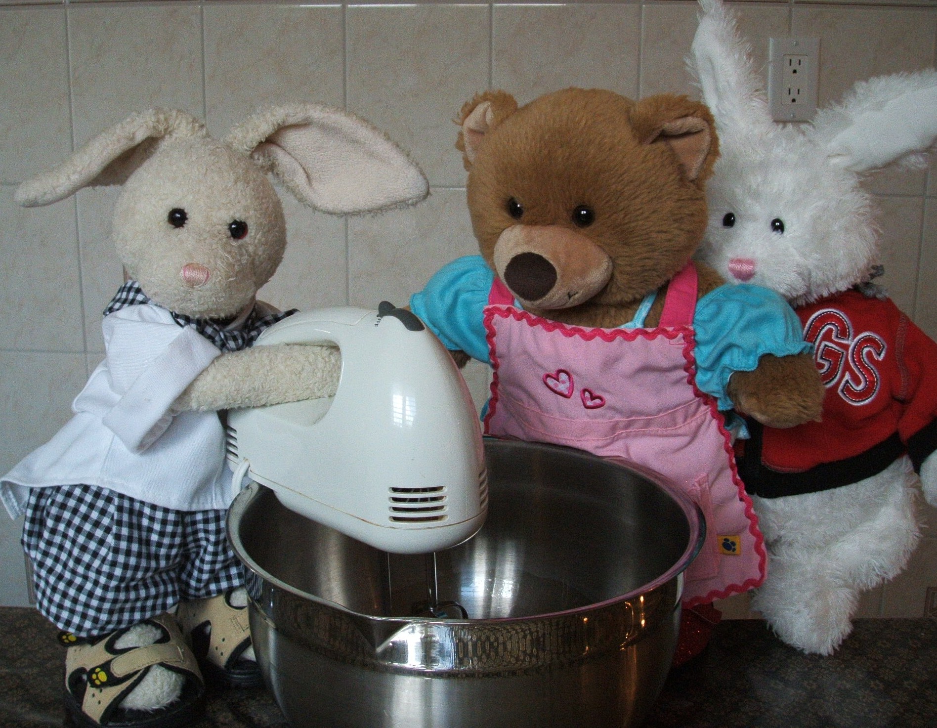 Flan Pudding Show Picture