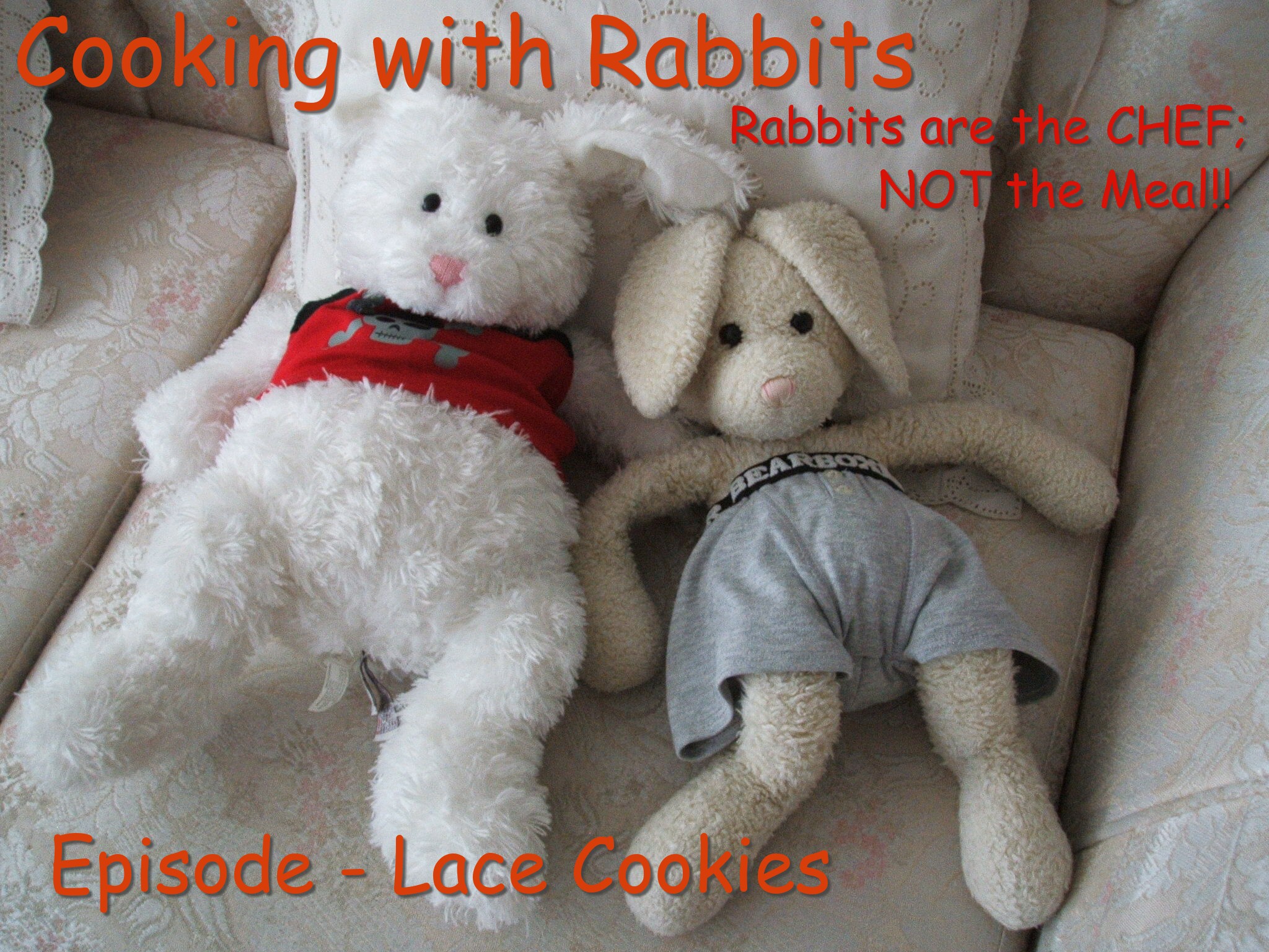 Lace Cookies Show Picture