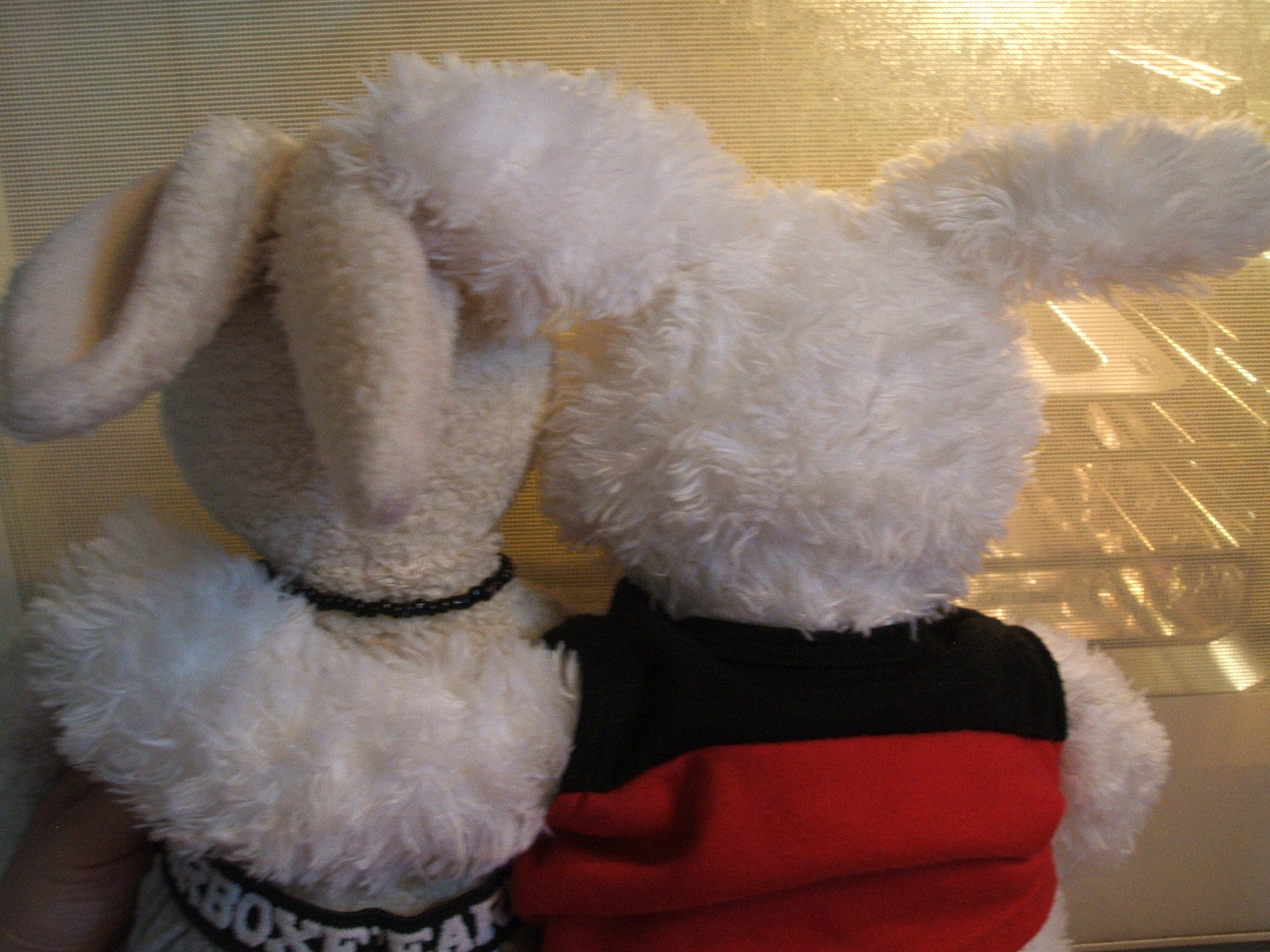 Lace Cookies Show Picture