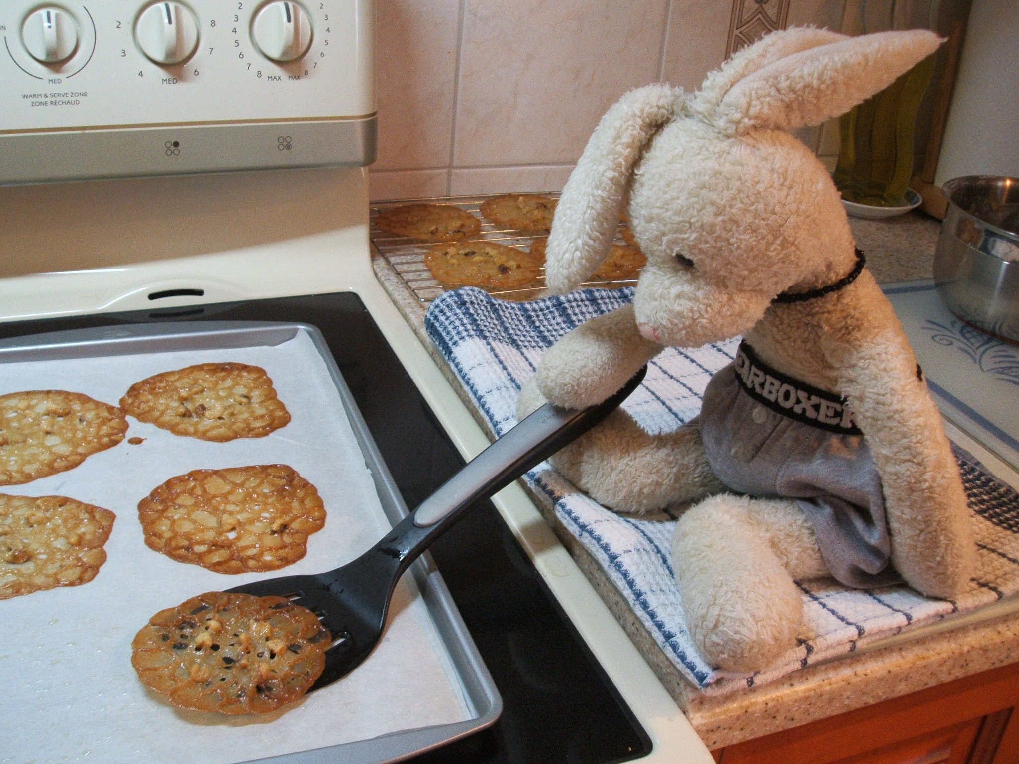 Lace Cookies Show Picture