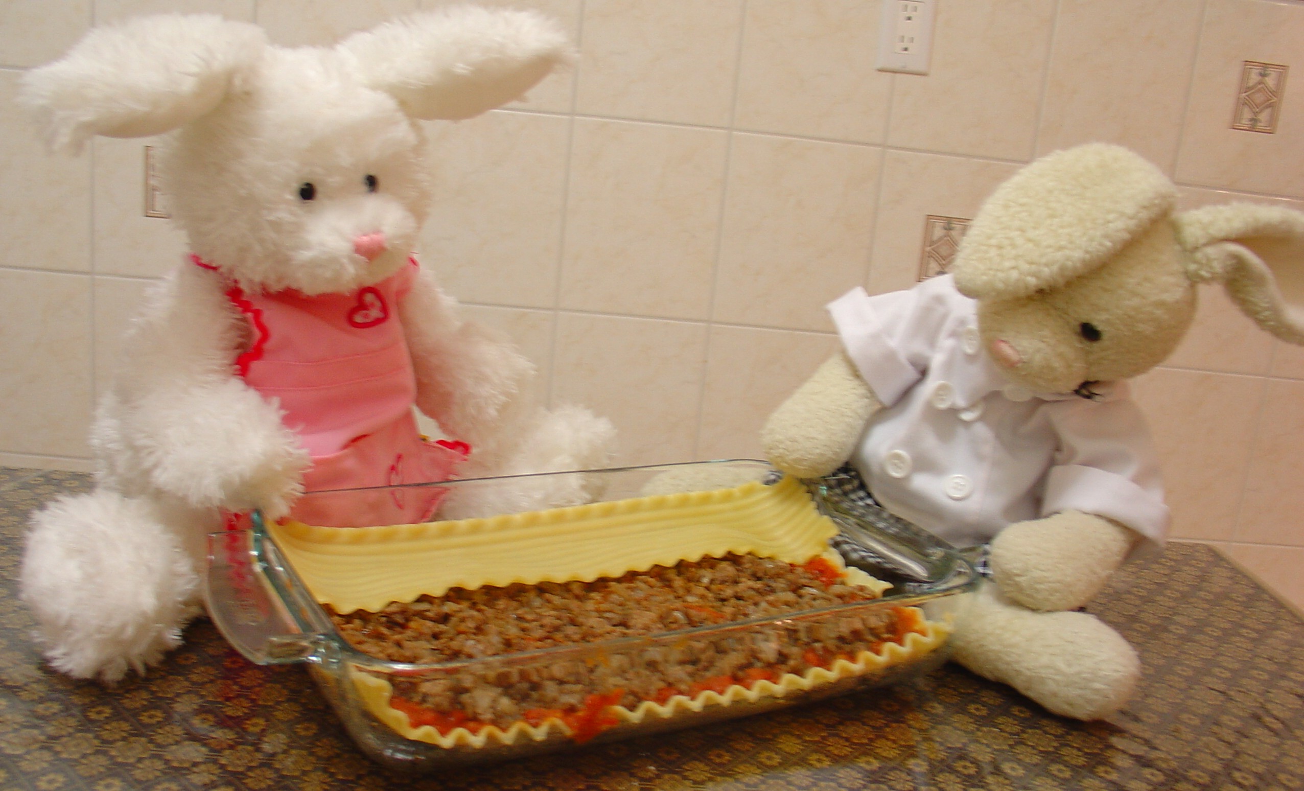 Lasagna Show Picture