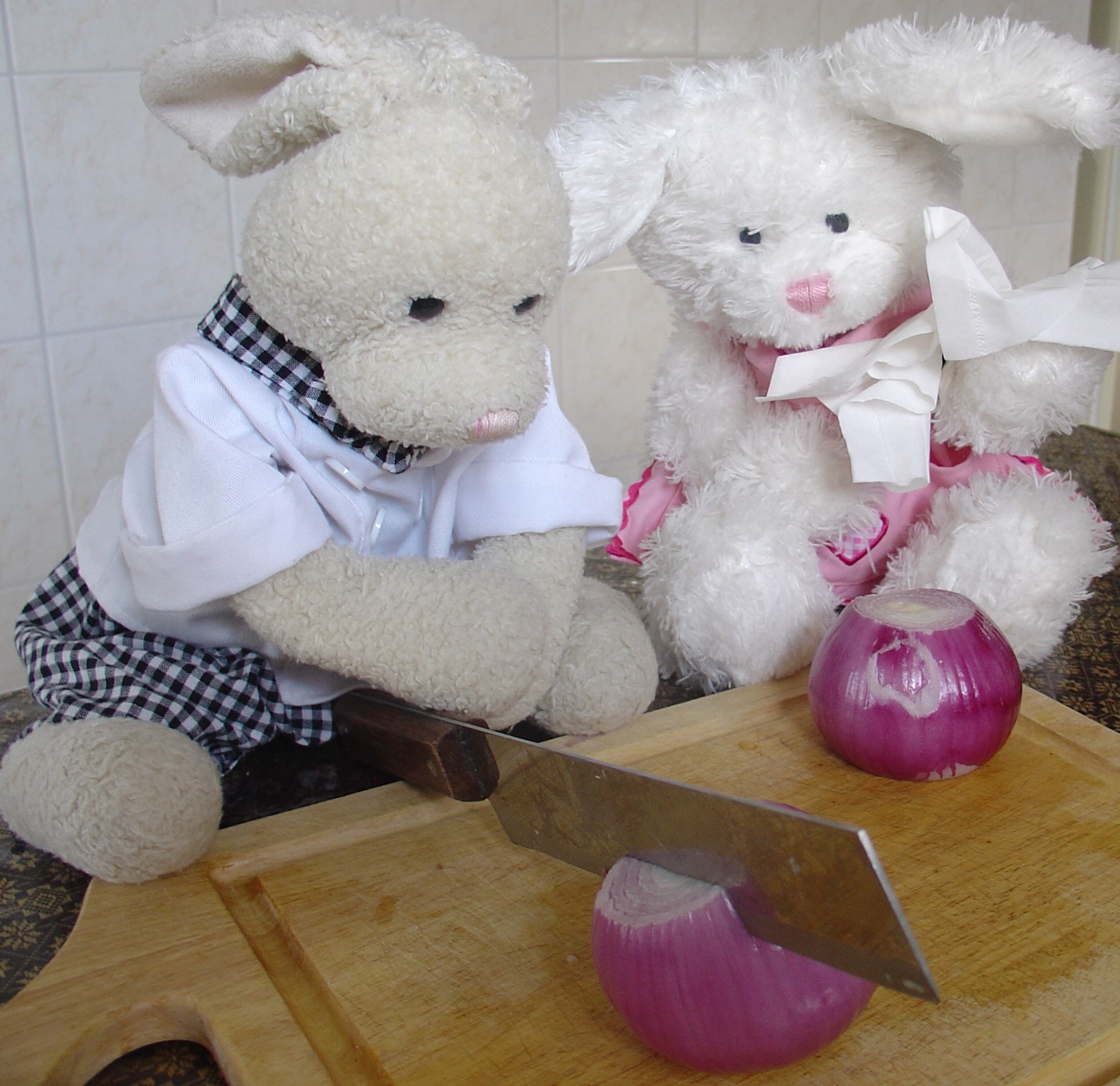 Lasagna Show Picture