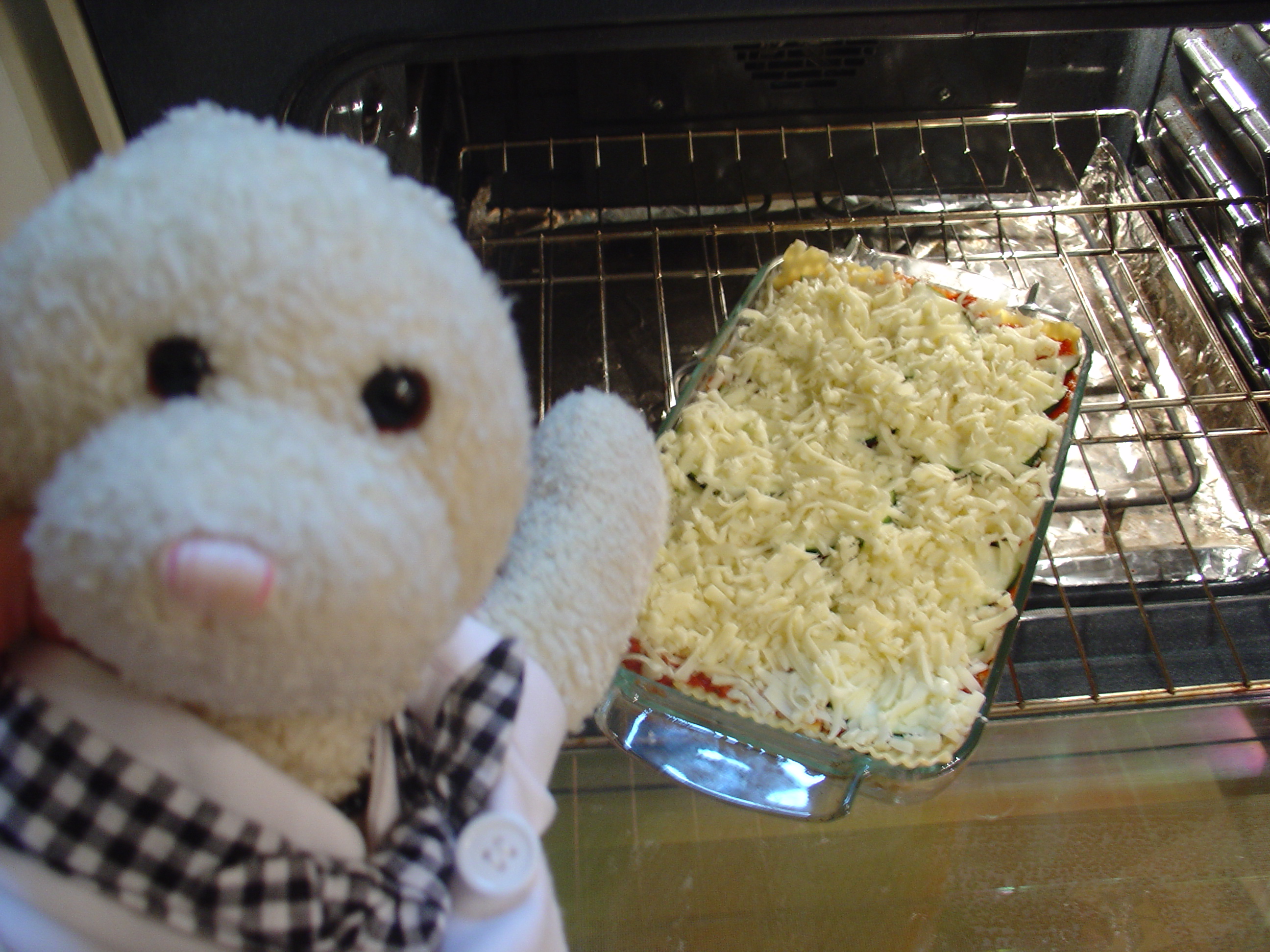 Lasagna Show Picture