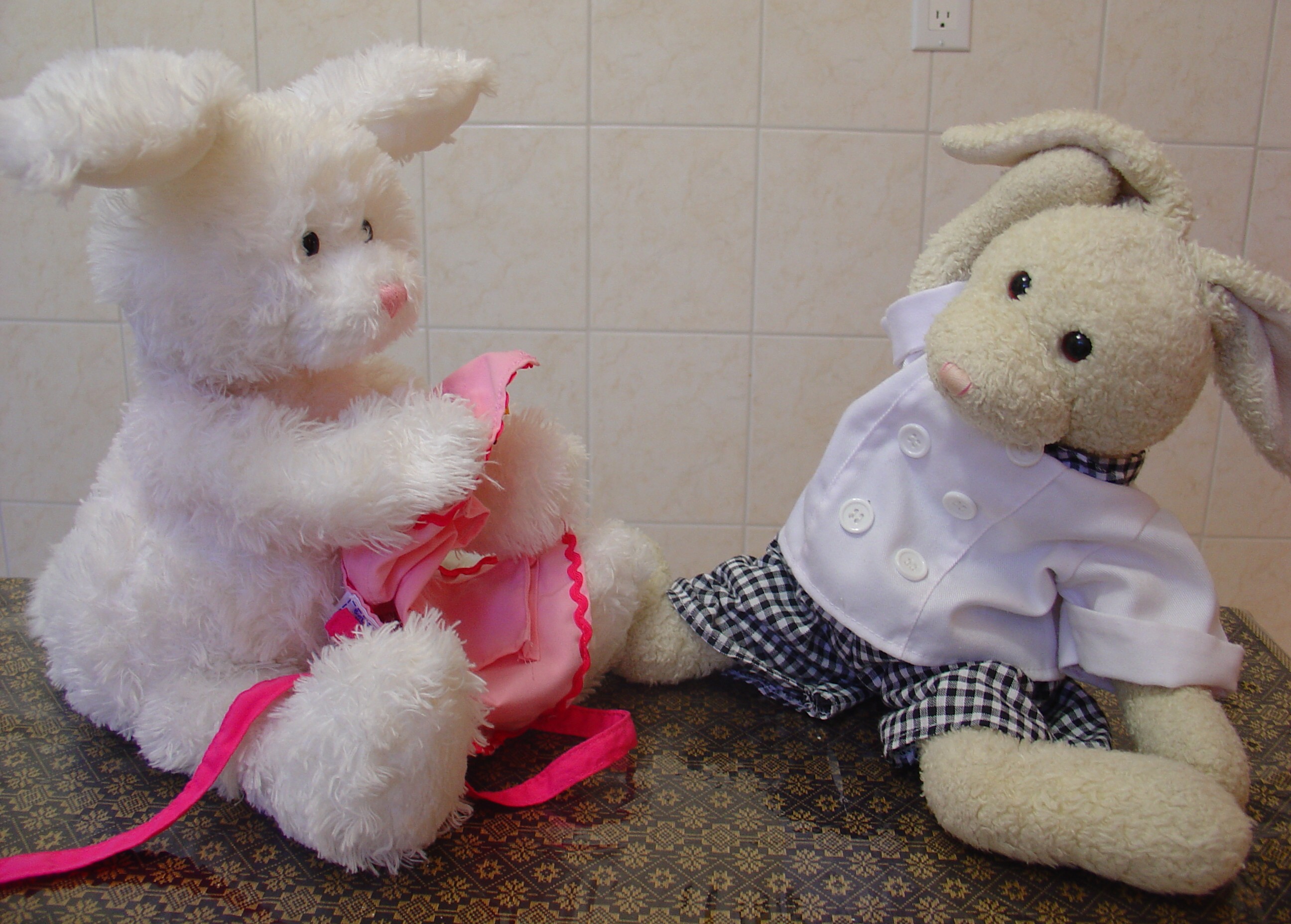 Lasagna Show Picture