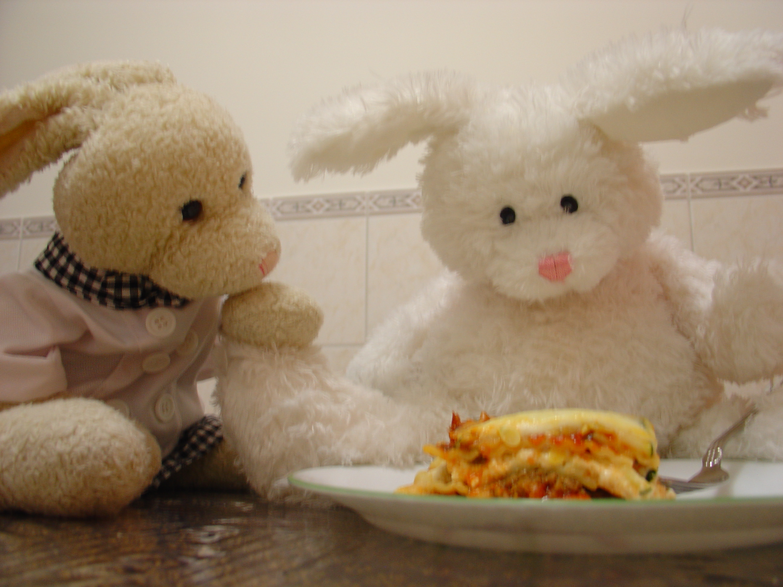 Lasagna Show Picture