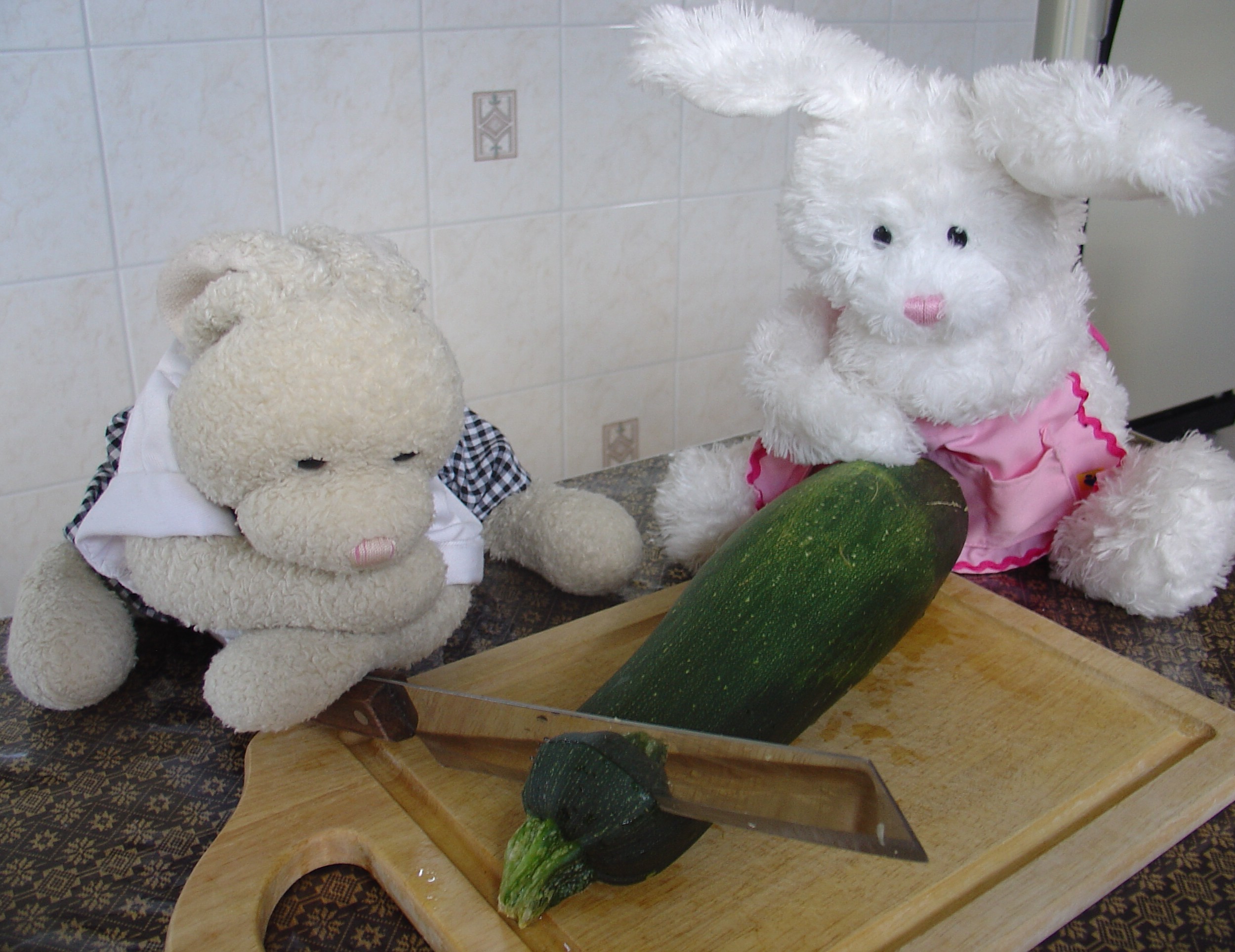 Lasagna Show Picture