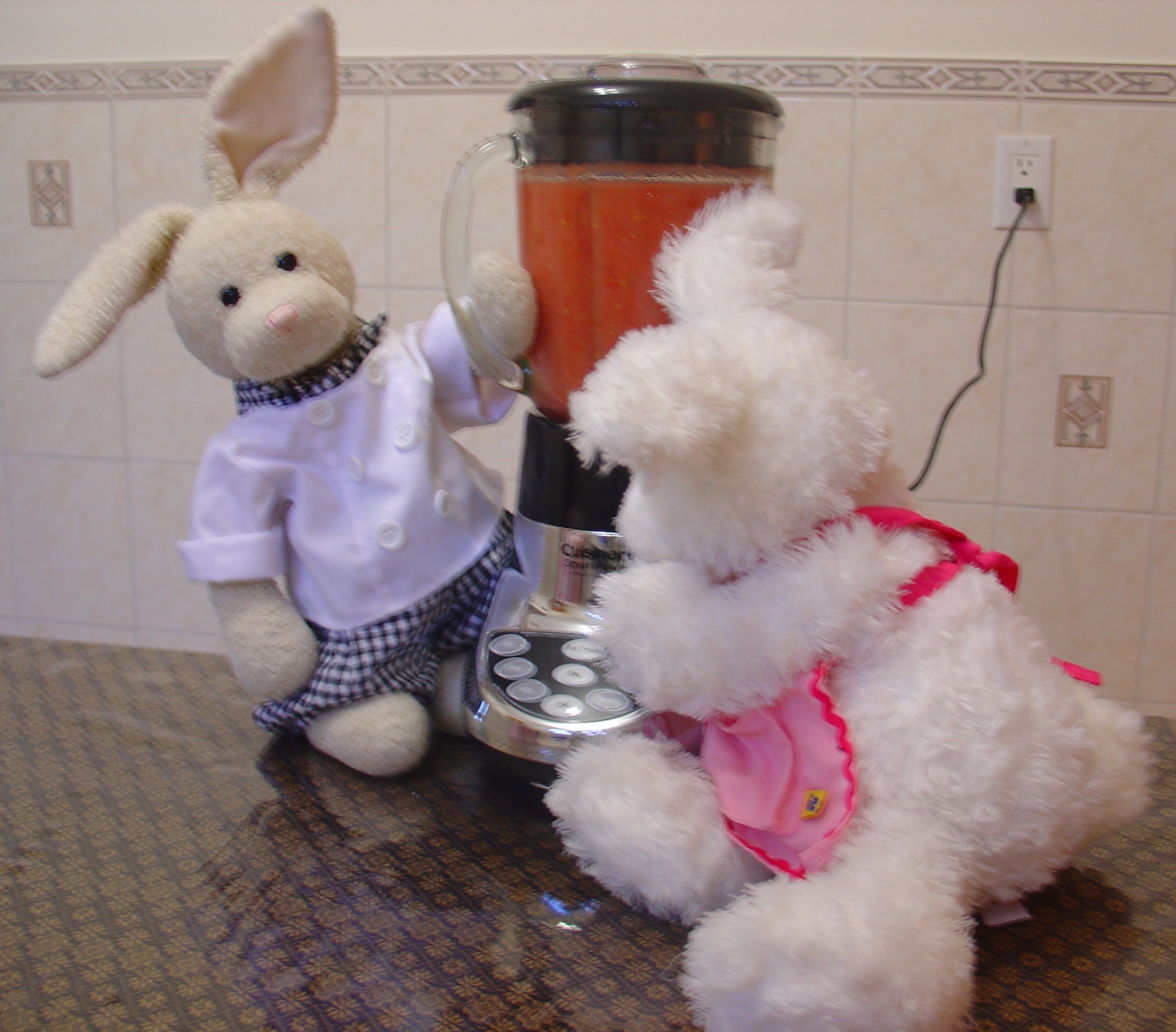 Lasagna Show Picture