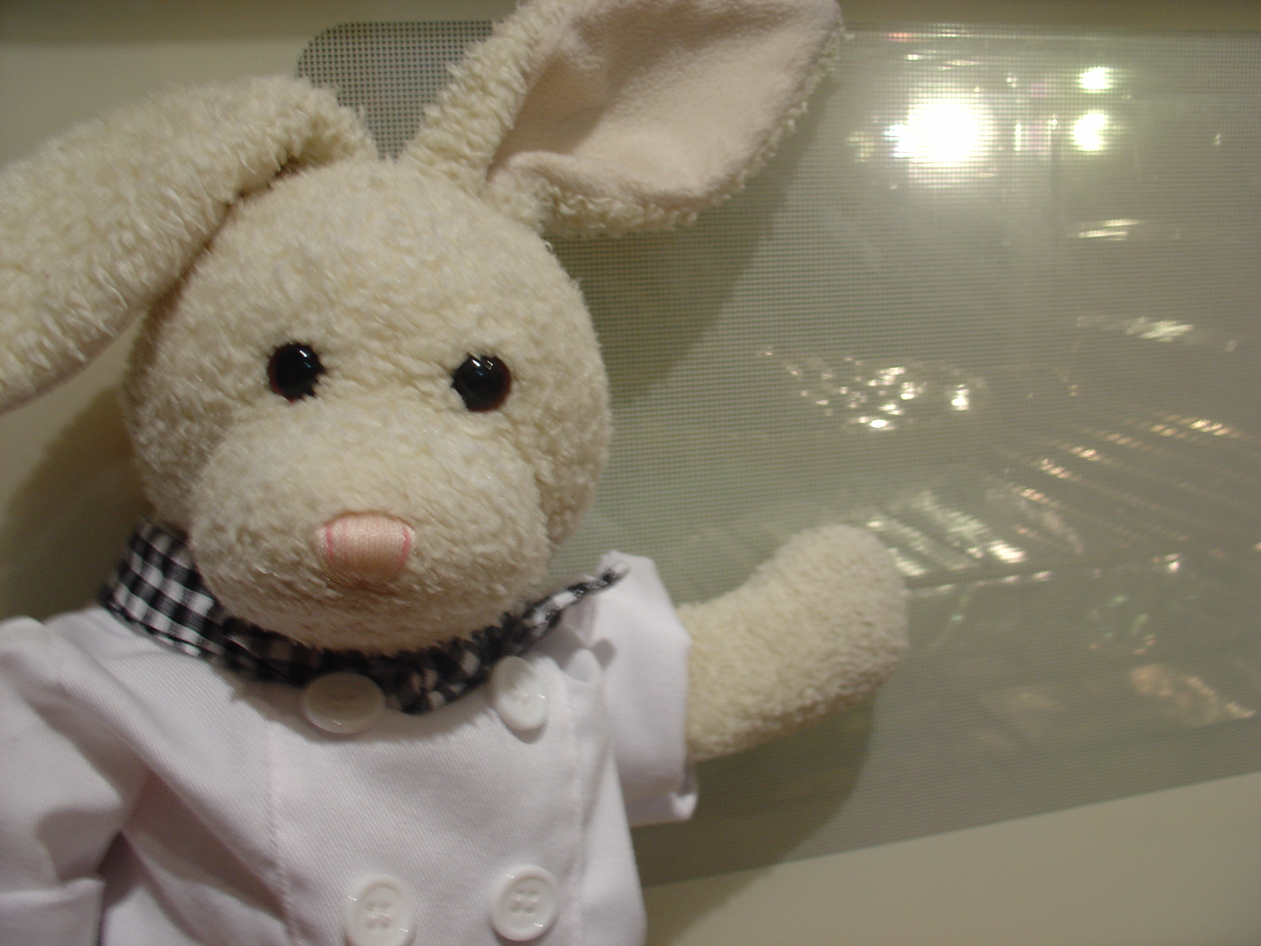 Apple Pie Show Picture