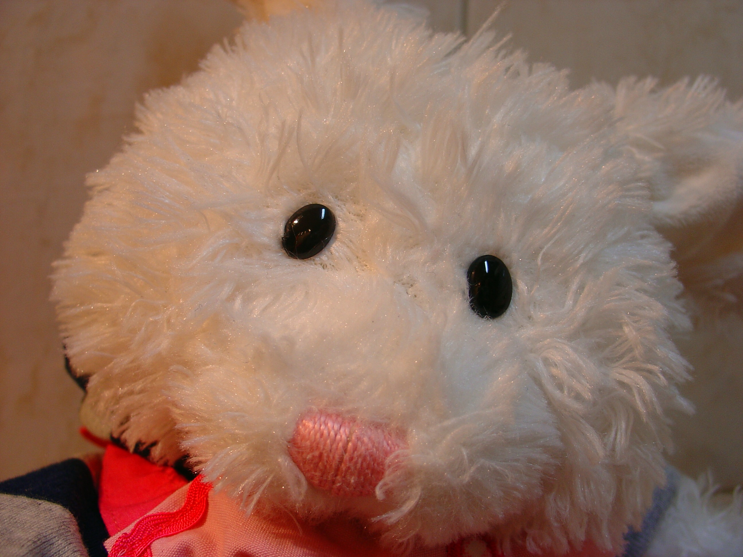 Apple Pie Show Picture