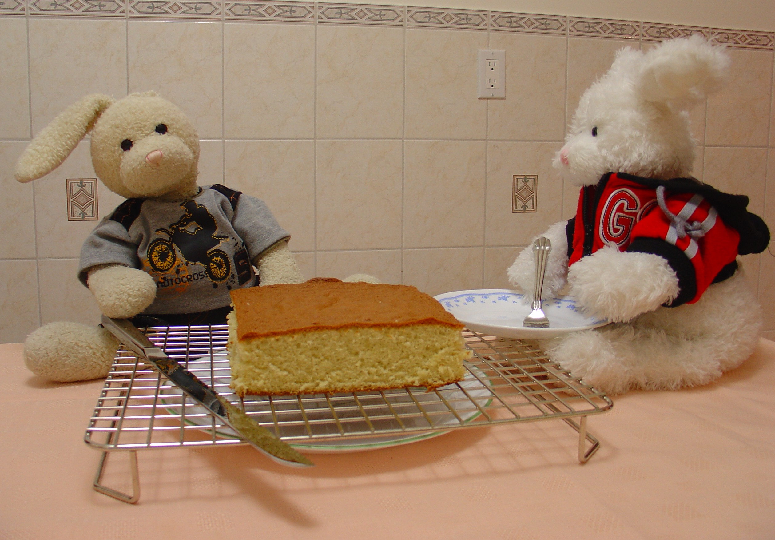 Kasutera - Japanese Sponge Cake Show Picture