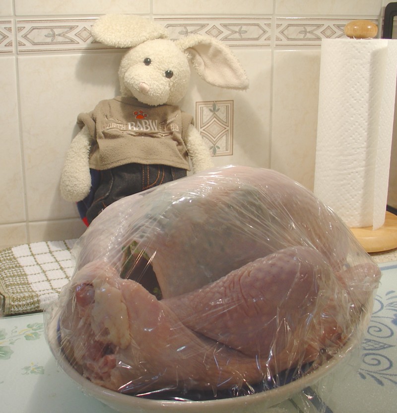 Thanksgiving Dinner Show Picture