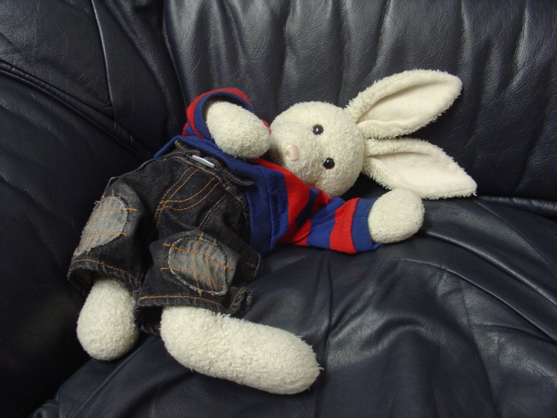 Thanksgiving Dinner Show Picture