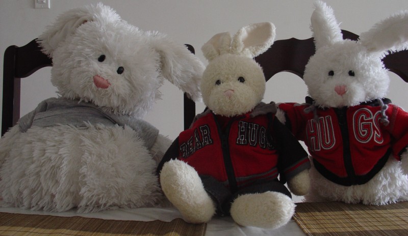 Thanksgiving Dinner Show Picture