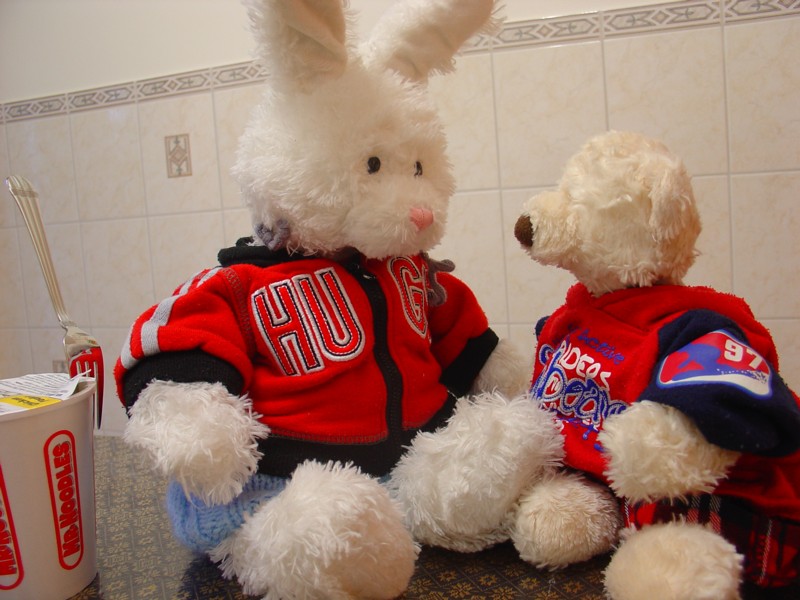 Cup O Noodle Show Picture