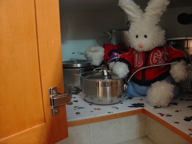 Cup O Noodle Show Picture