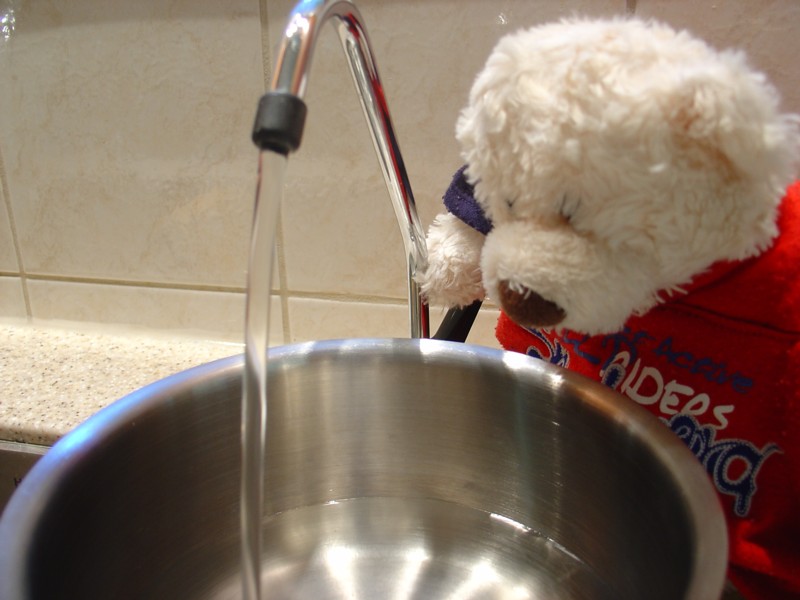 Cup O Noodle Show Picture