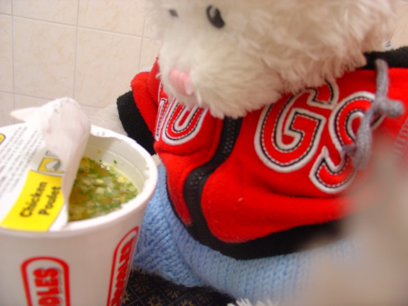 Cup O Noodle Show Picture