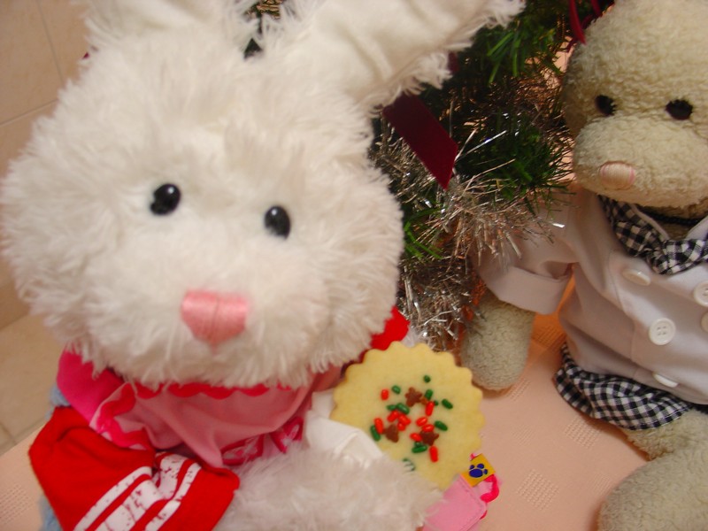 Shortbread Cookies Show Picture