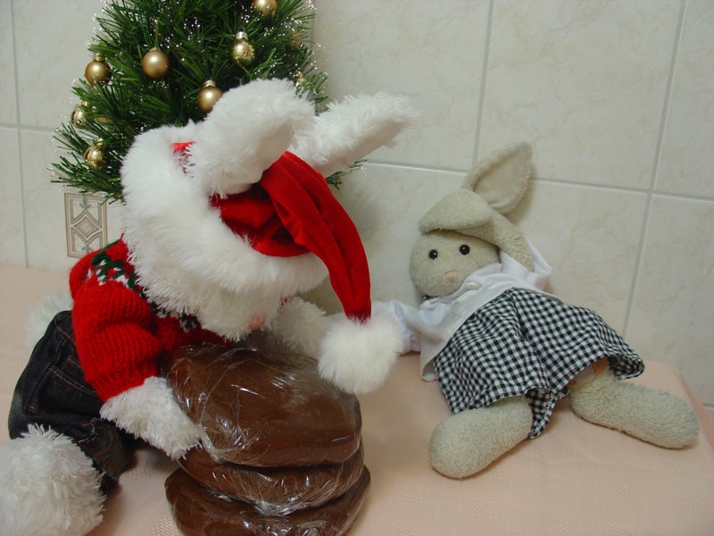 Gingerbread Show Picture