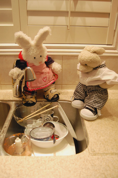 Raspberry Duck Show Picture